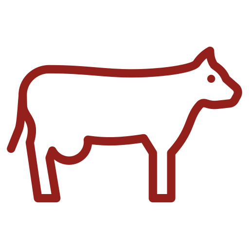 manzo