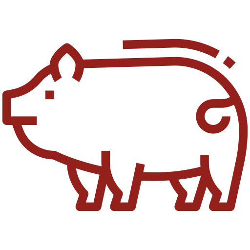 suino